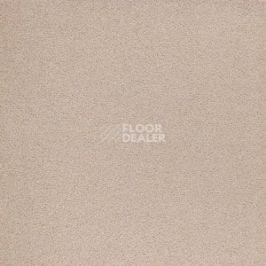 Ковролин Brintons Bell Twist Sugar Almond фото 1 | FLOORDEALER